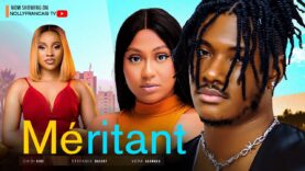 MERITANT FILM FRANCAIS NOLLYWOOD COMPLET. CHIDI DIKE, STEFENIA BASSEY, VERA AGANAGA